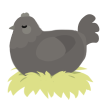 rock, a grey chicken with a head pattern