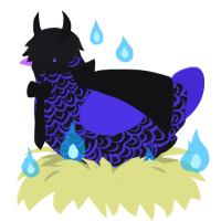 A sable and indigo chicken with a double-lace pattern