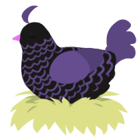 (unnamed), a sable and overcast chicken with a lace pattern