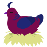 A wine and navy chicken with a neck-band pattern
