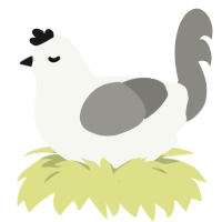 Duster, a white and ash chicken