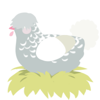 A silver and white chicken with a half-lace pattern