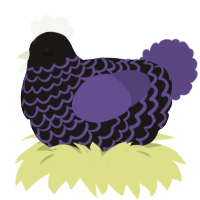 A sable and overcast chicken with a lace pattern