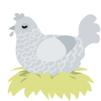 A mist chicken with a lace pattern