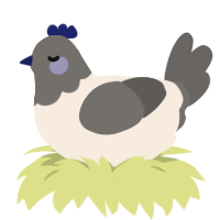 Blueberry, a cream and grey chicken with a head pattern