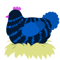 A tumblr and ultramarine chicken with a bar pattern
