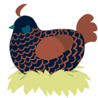 A tumblr and russet chicken with a lace pattern