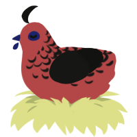A red and black chicken with a half-lace pattern