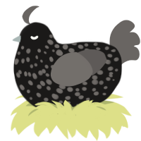 A sable and grey chicken with a speckle pattern