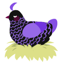 James, a black and blurple chicken with a lace pattern