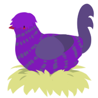 Fa ded man, a violet and overcast chicken with a bar pattern