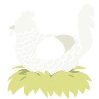VODKA, a white chicken with a lace pattern