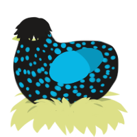 A sable and cerulean chicken with a speckle pattern