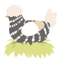 A grey and cream chicken with a bar pattern