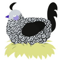 (unnamed), a mist and black chicken with a double-lace pattern