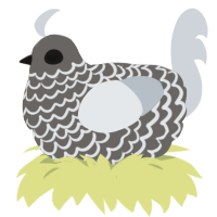 the sludge, a grey and mist chicken with a lace pattern