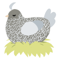 A ash and mist chicken with a double-lace pattern