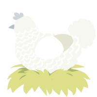 Cotton Swab, a white chicken with a lace pattern