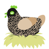 (unnamed), a sable and beige chicken with a double-lace pattern