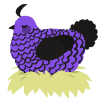 Chiko, a blurple and sable chicken with a lace pattern