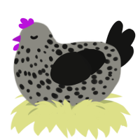 A ash and black chicken with a speckle pattern