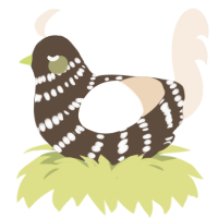 Cappuccino, a bark and cream chicken with a bar pattern
