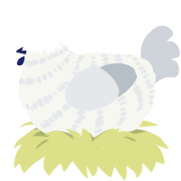A white and mist chicken with a bar pattern