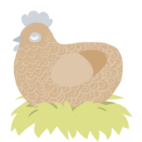 A beige chicken with a double-lace pattern