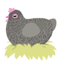 A grey and ash chicken with a double-lace pattern