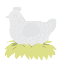 Carrion, a black and sable chicken with a lace pattern
