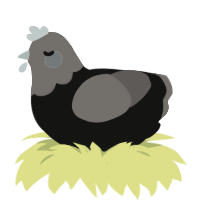 (unnamed), a black and grey chicken with a head pattern