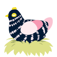 Pleia, a tumblr and rose chicken with a bar pattern