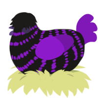 A sable and violet chicken with a bar pattern