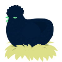 Tumble Stumble, a tumblr chicken with a speckle pattern