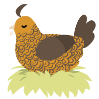 A orange and bark chicken with a double-lace pattern