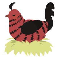 Ailurophobia, a red and sable chicken with a bar pattern
