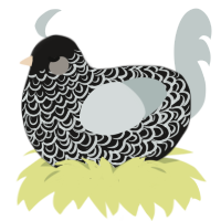 A sable and silver chicken with a double-lace pattern