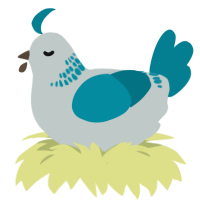A silver and sea chicken with a neck-band pattern