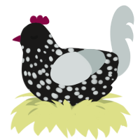 A sable and silver chicken with a speckle pattern