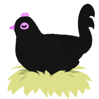 Enderman, a black chicken with a lace pattern