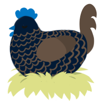General, a tumblr and bark chicken with a lace pattern