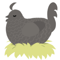 A grey chicken with a lace pattern