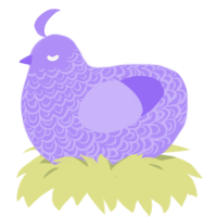Lilac xxx, a lilac chicken with a double-lace pattern
