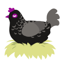 menderman, a sable and grey chicken with a half-lace pattern