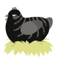 A black and grey chicken with a half-bar pattern
