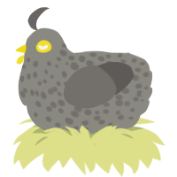 (unnamed), a ash and grey chicken with a speckle pattern