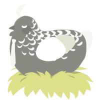 Clay, a ash and white chicken with a half-lace pattern