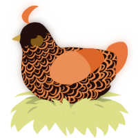 A black and vermilion chicken with a double-lace pattern