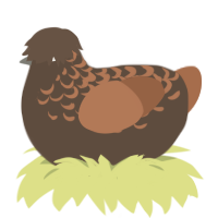 Praline, a bark and brown chicken with a half-lace pattern