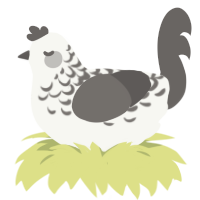 Grey Lace, a white and grey chicken with a half-lace pattern